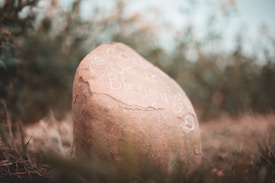 A large, smooth stone sits in a grassy area with blurred greenery in the background. On the surface of the stone, the text 'Count Your Blessings' is inscribed, partially covered by some natural imperfections of the rock.