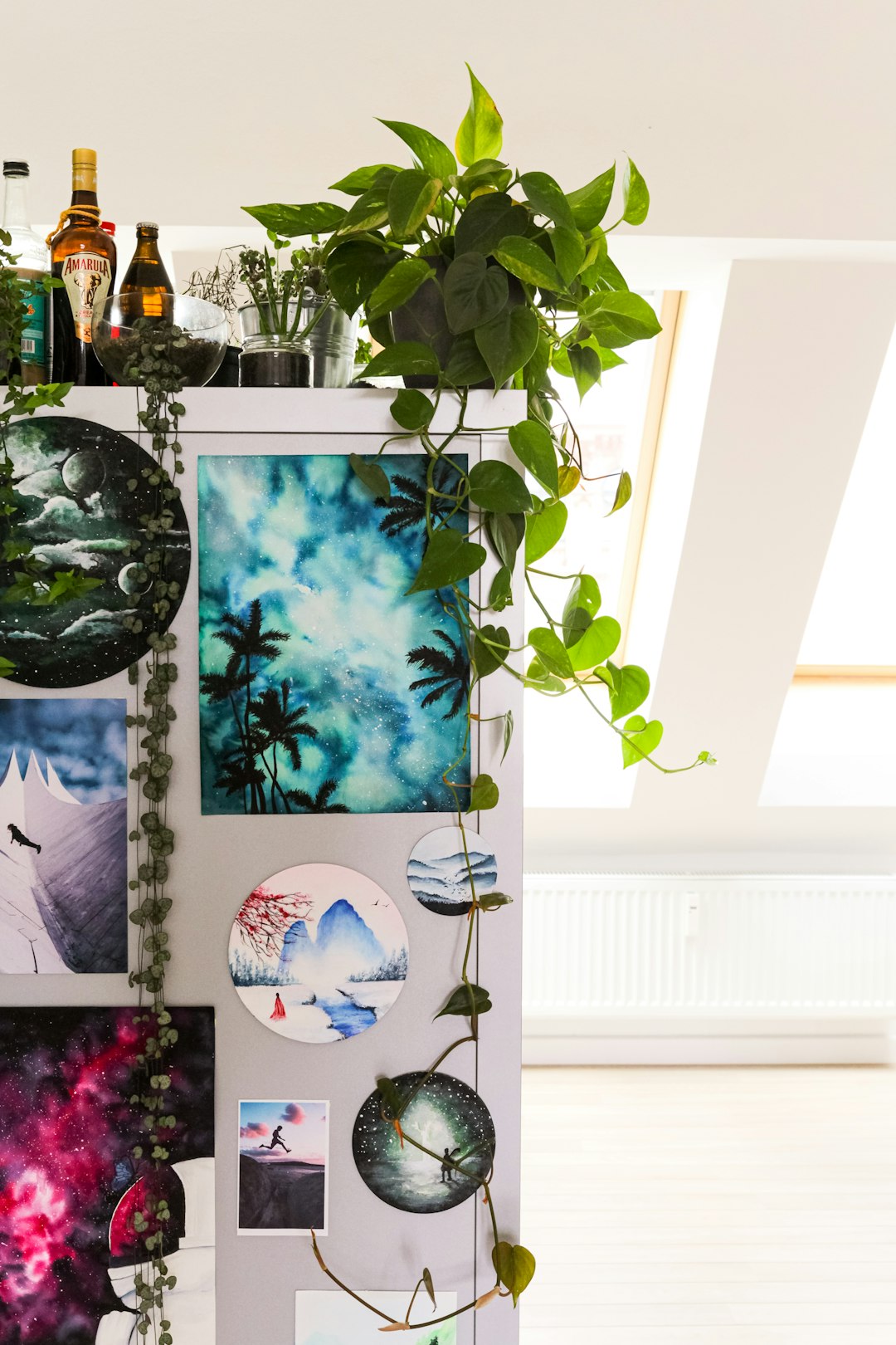 green plant on white ceramic vase