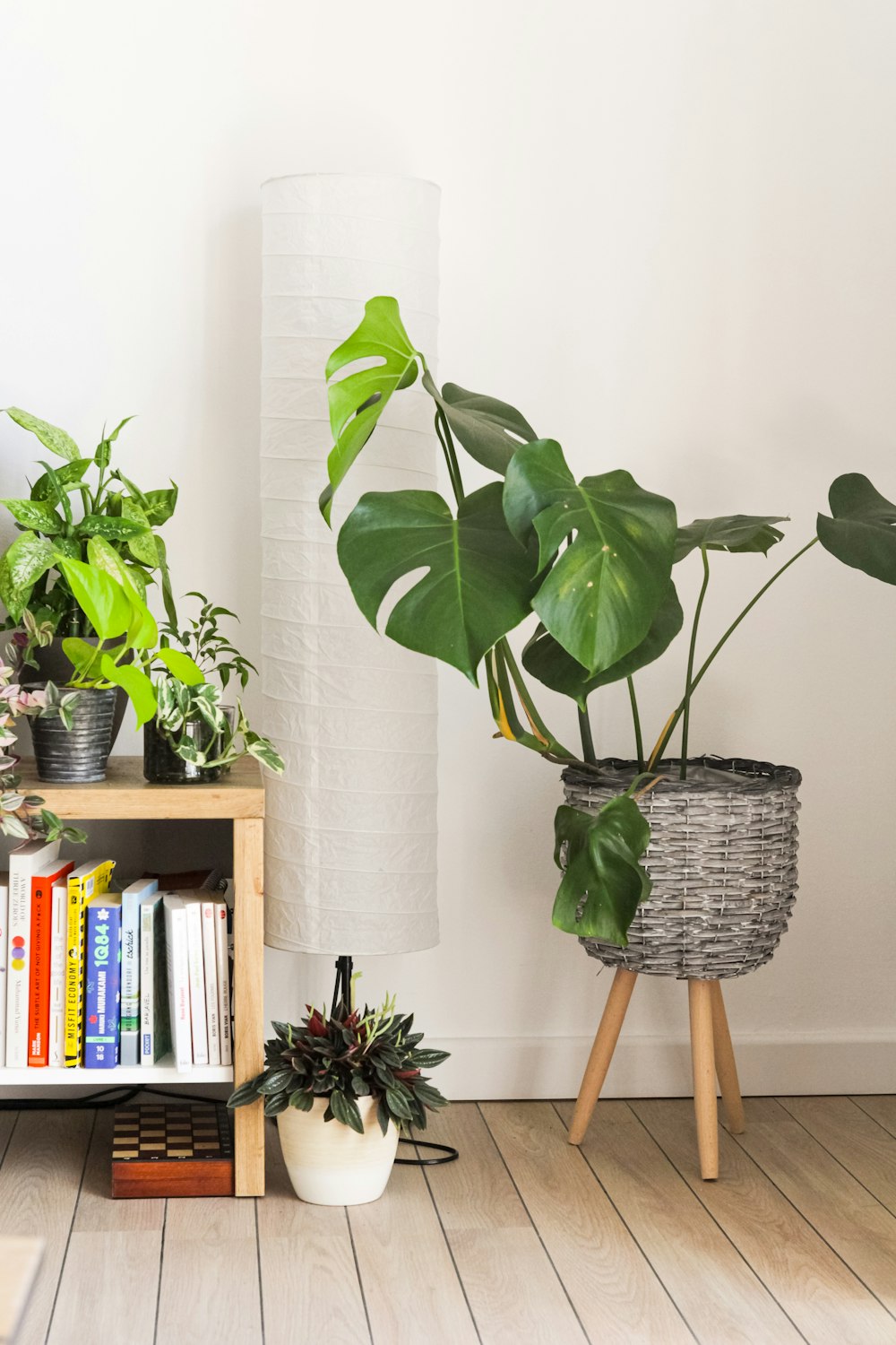 green plant on brown wooden table