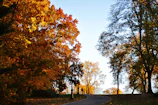 Scenic view of Linburn Beck Park’s walking paths winding through vibrant autumn foliage.