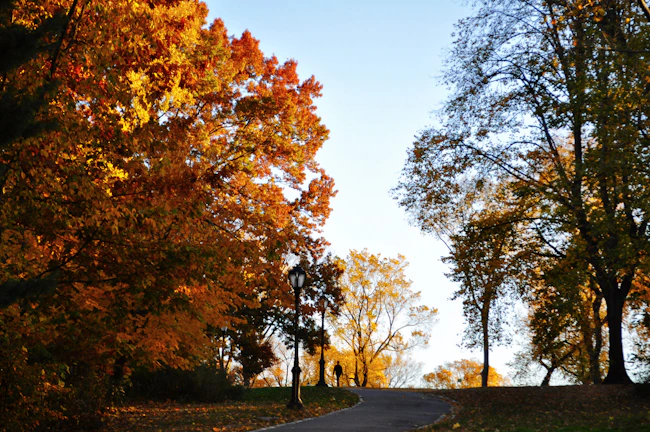 Scenic view of Linburn Beck Park’s walking paths winding through vibrant autumn foliage.