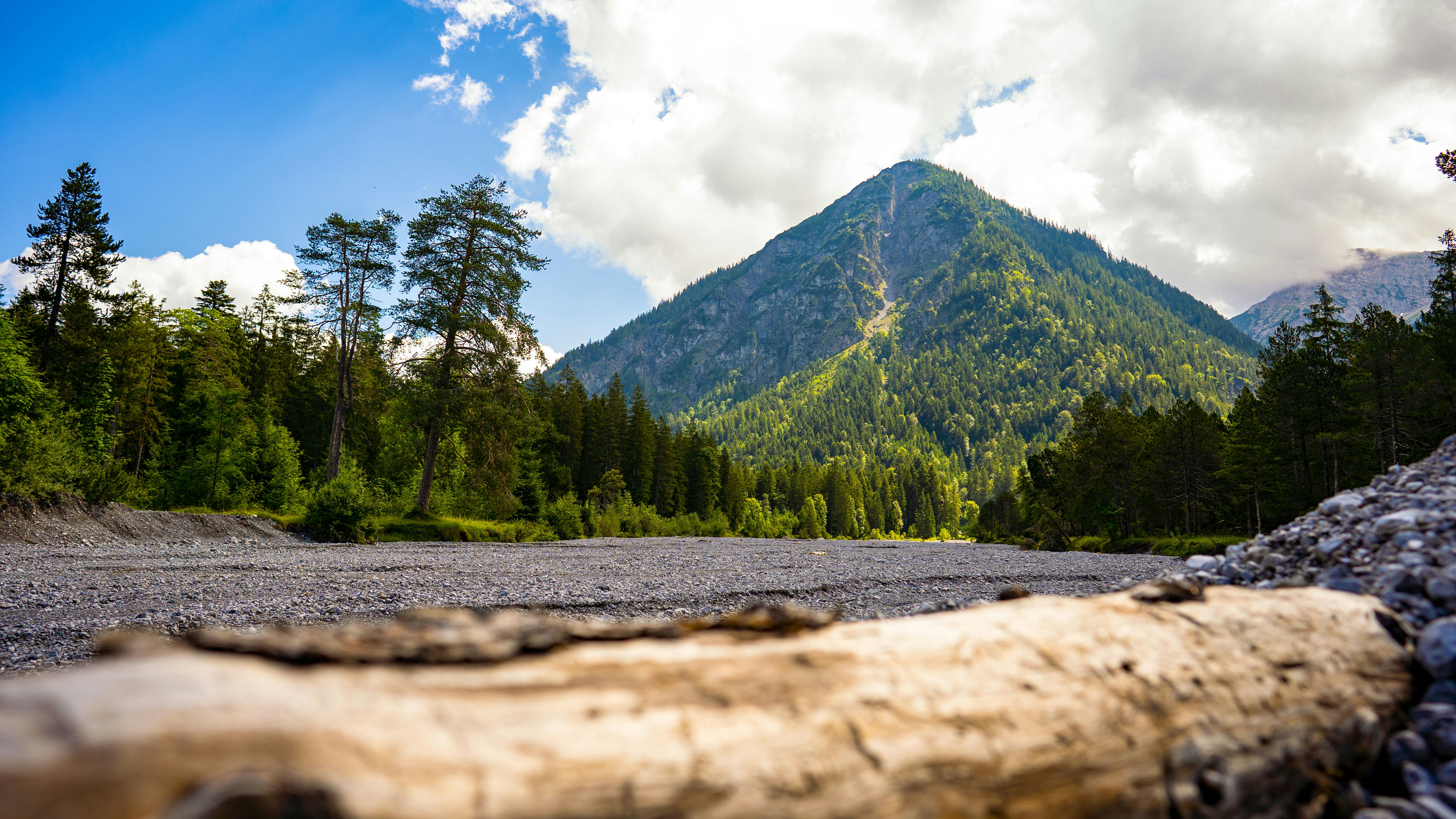 Green trees near mountain under white clouds and blue sky during ...