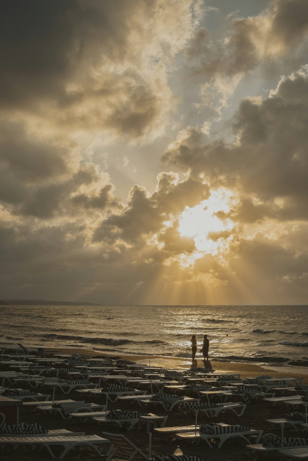 silhouette of people on beach during sunset