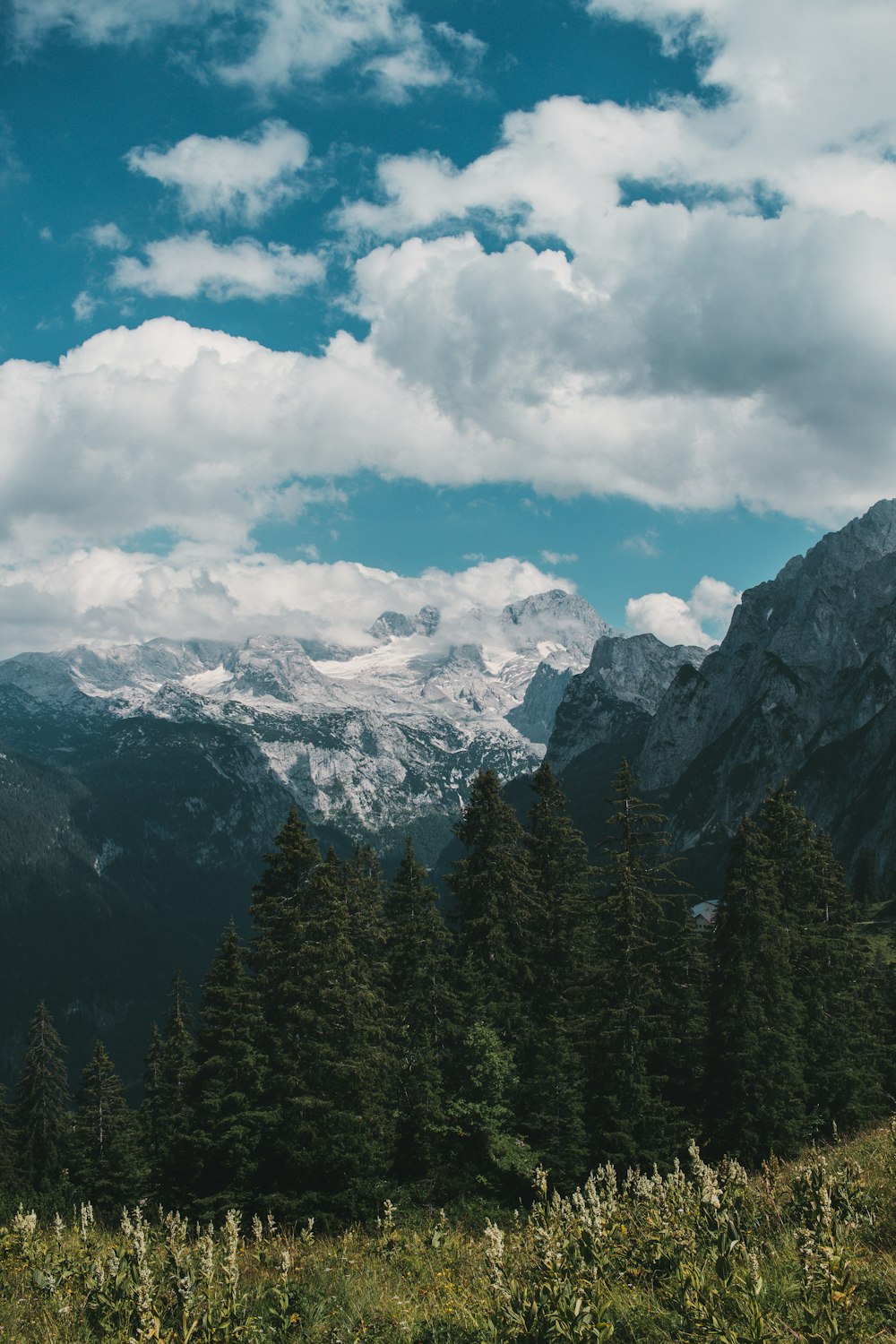 green pine trees near mountain under white clouds and blue sky during daytime