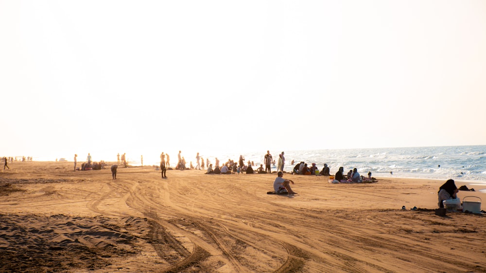 people on beach during daytime