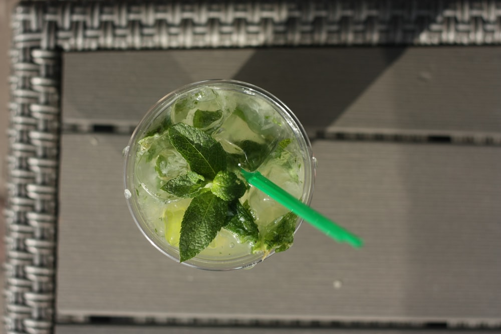 green leaf in clear glass bowl