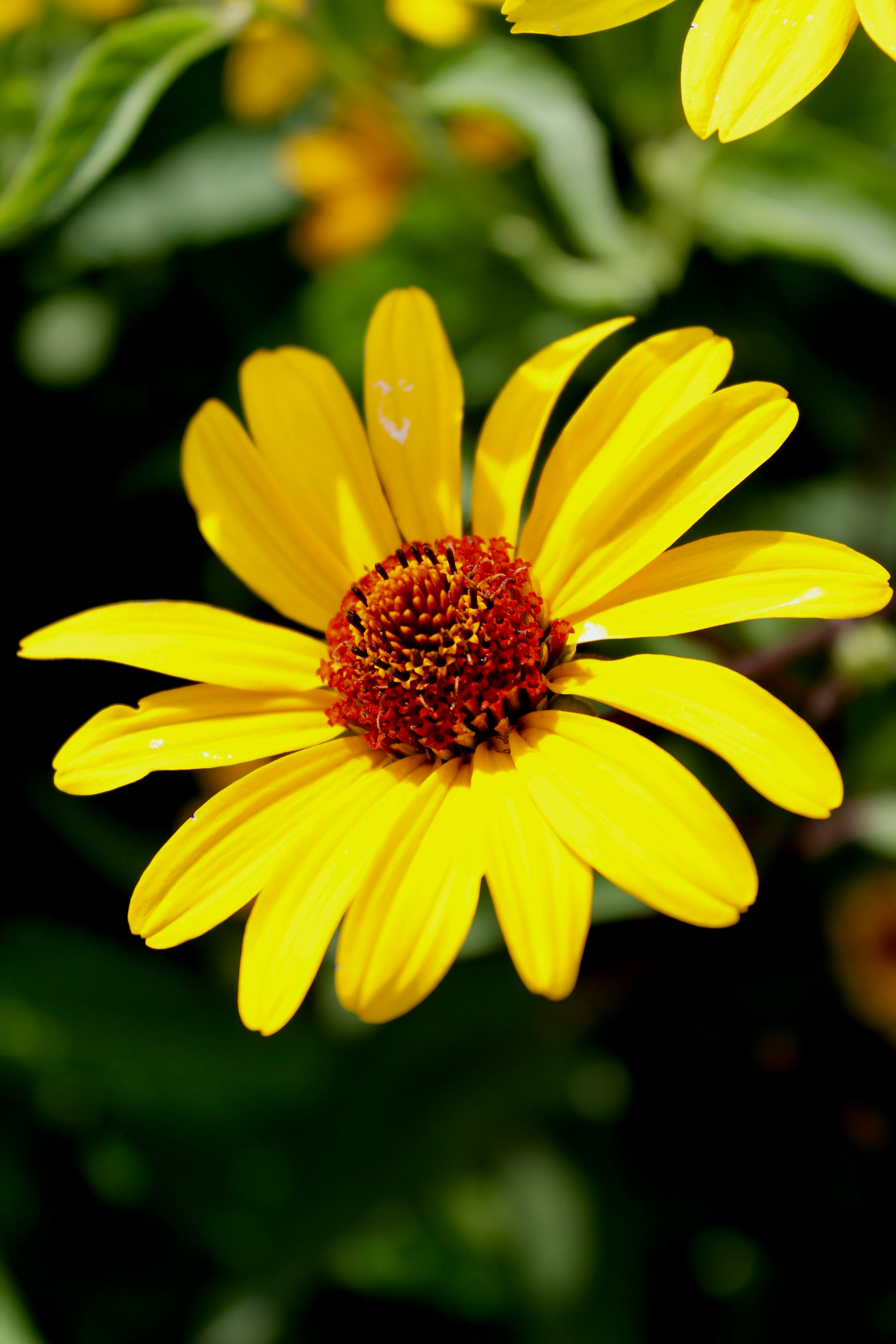 Photo by katrinamulfati