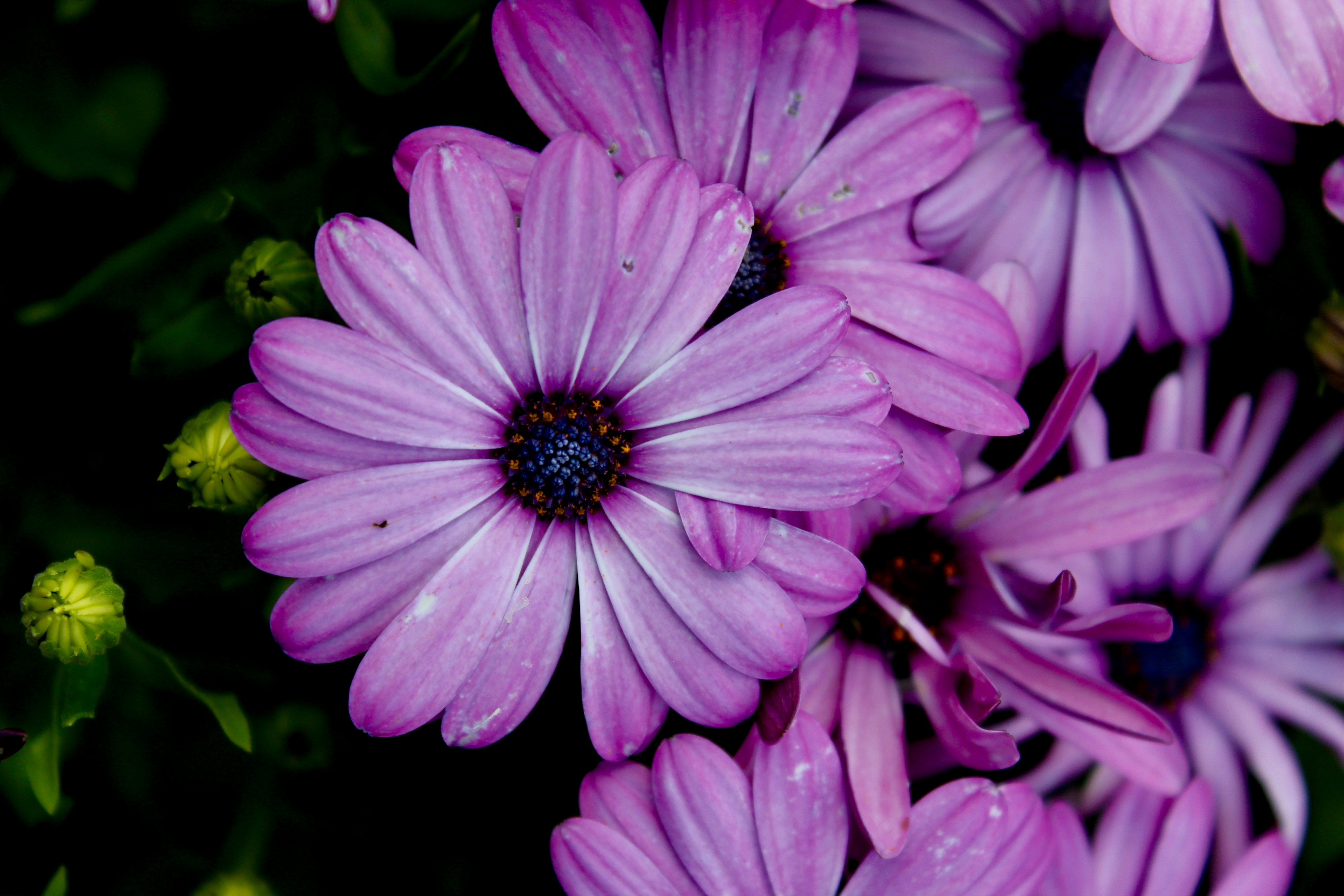 Photo by katrinamulfati