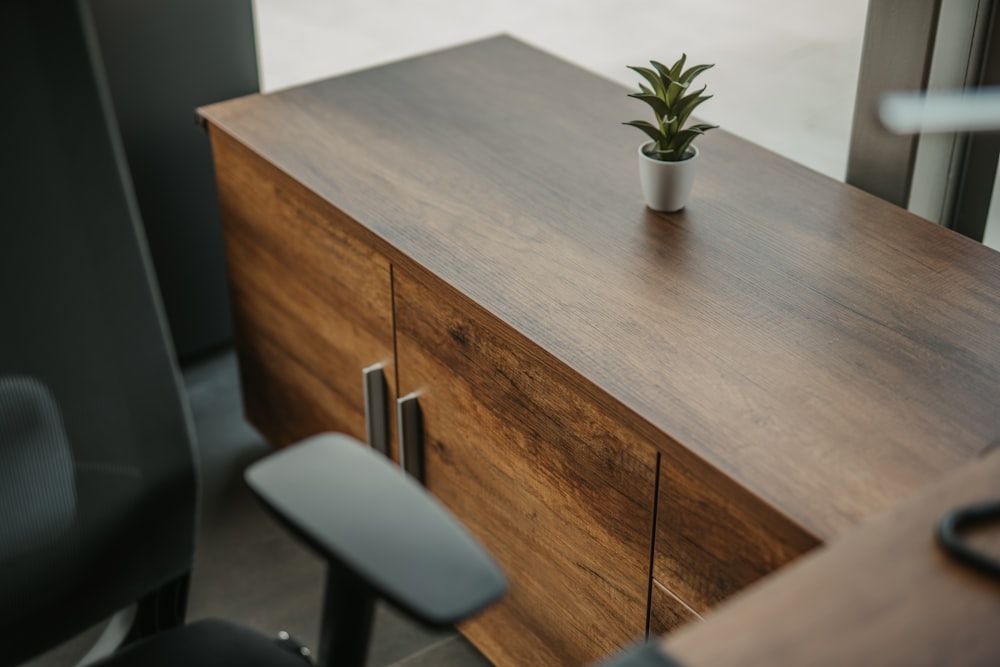 green plant on white table