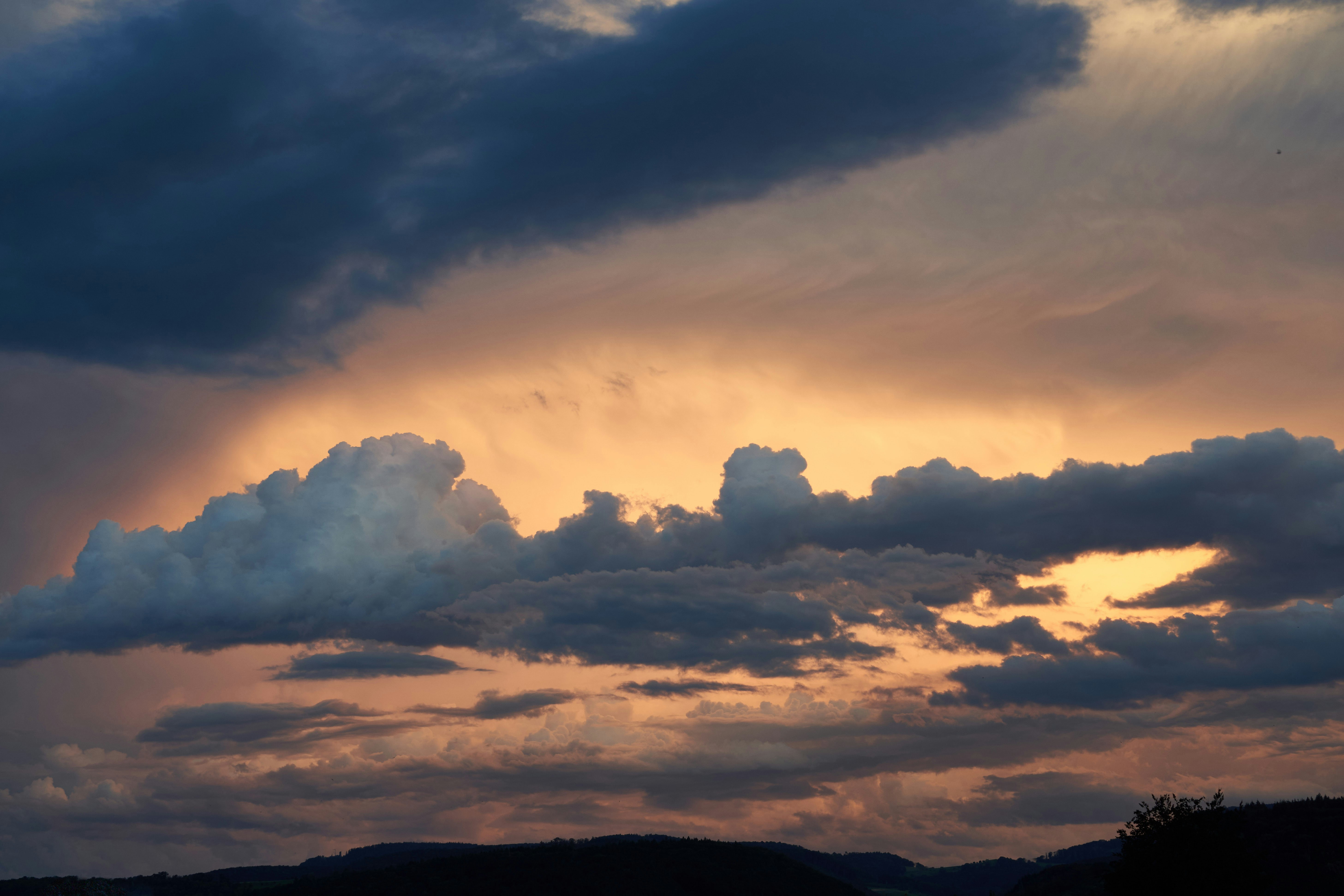 Photo by wolfgang_hasselmann