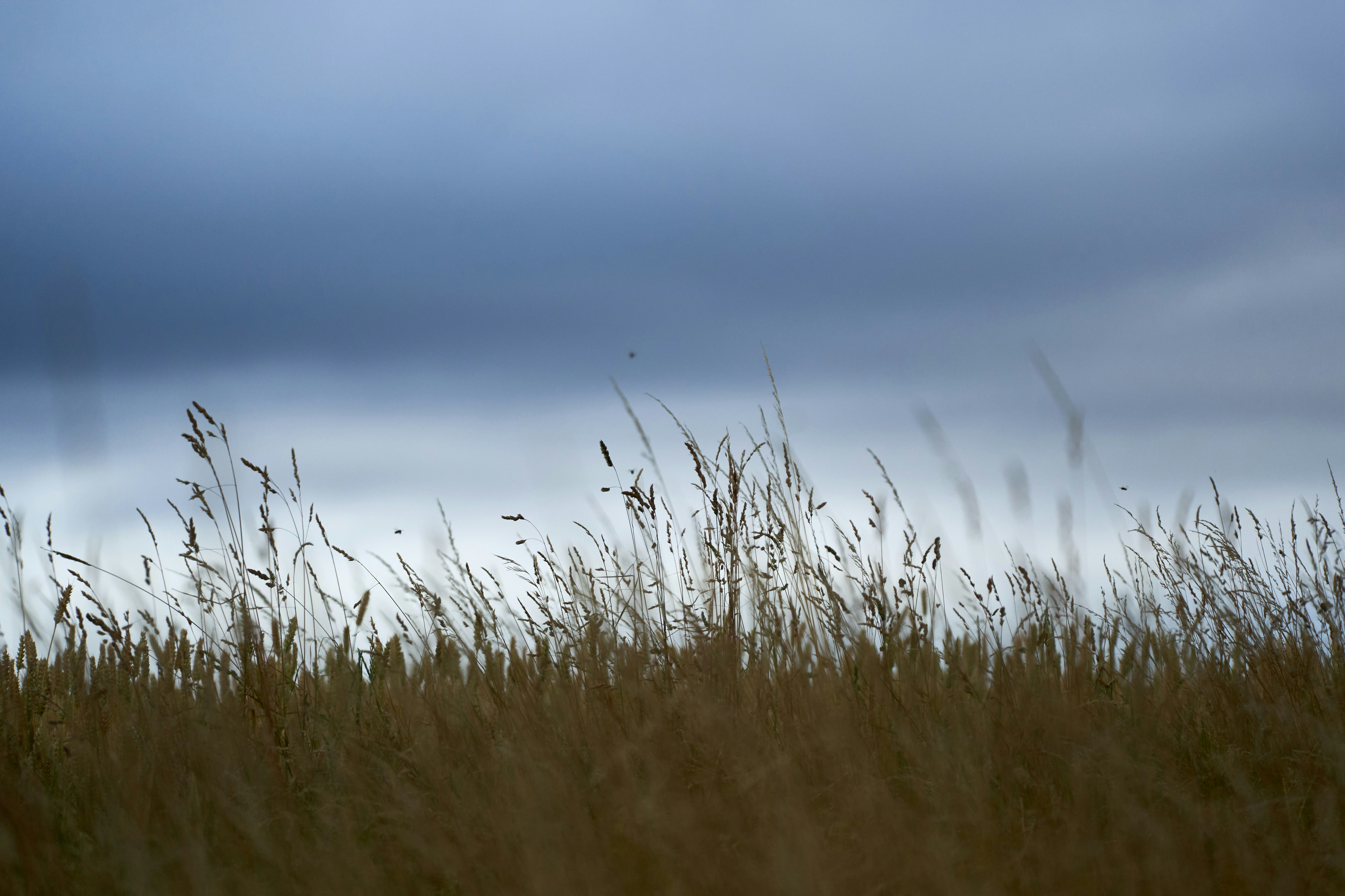 Photo by wolfgang_hasselmann