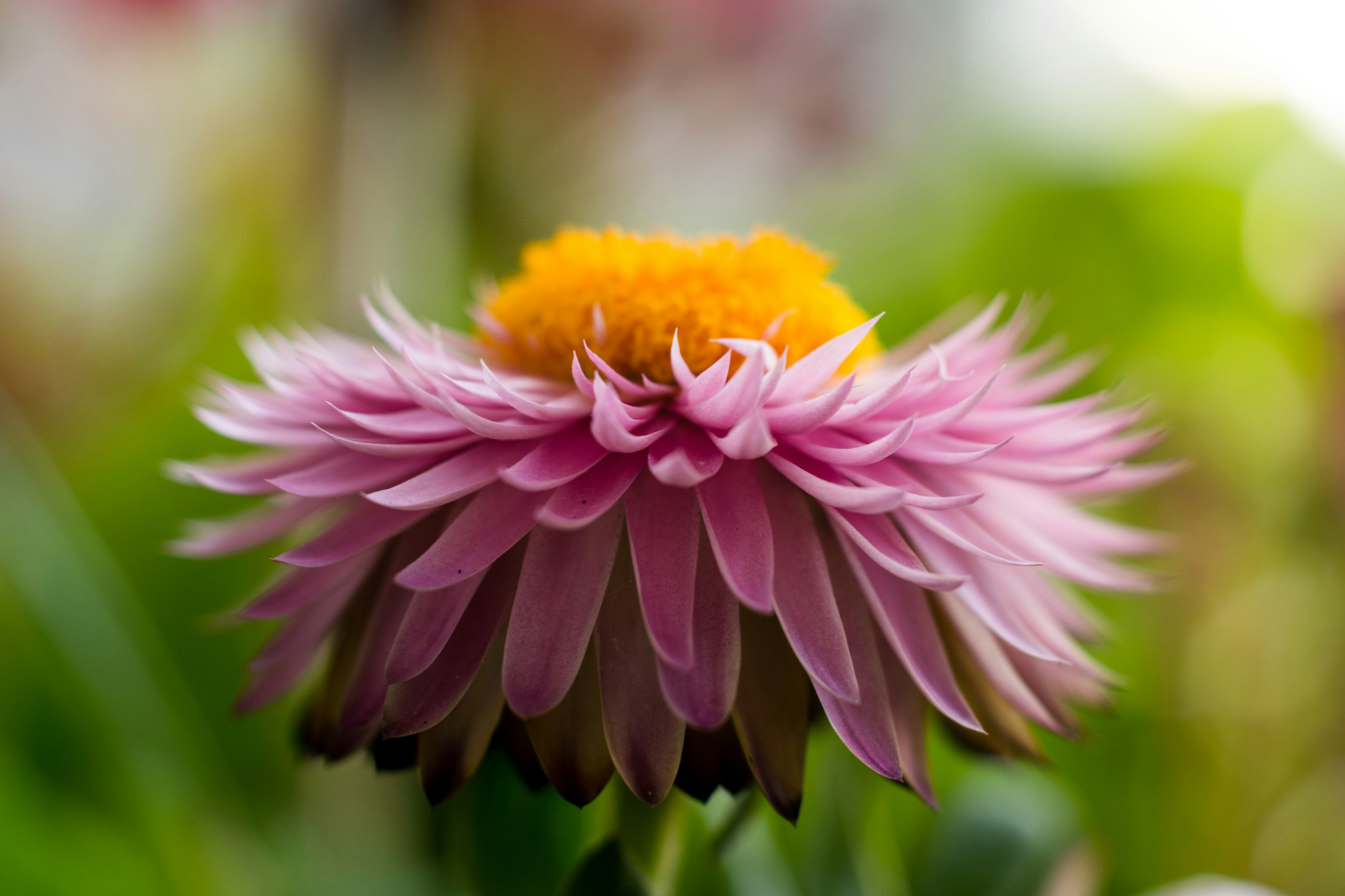 Photo by kelseybrownart