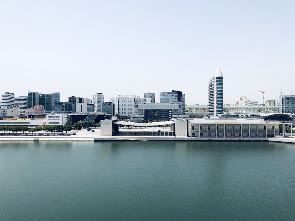 city skyline near body of water during daytime