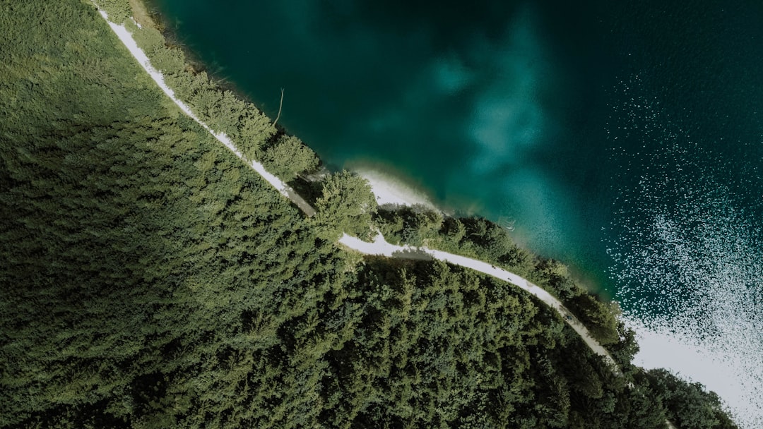 aerial view of green forest during daytime