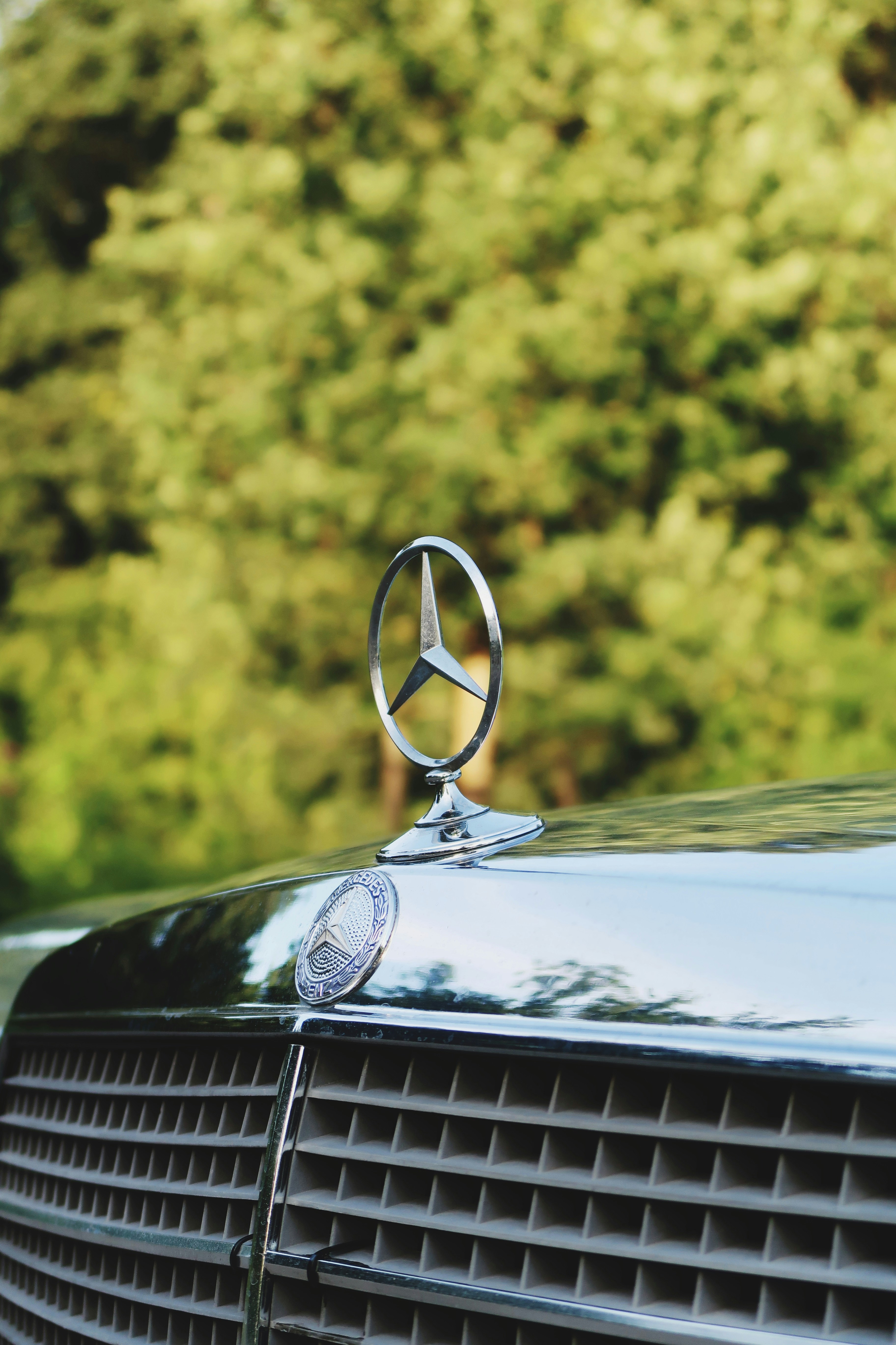 Photo by jornehermans