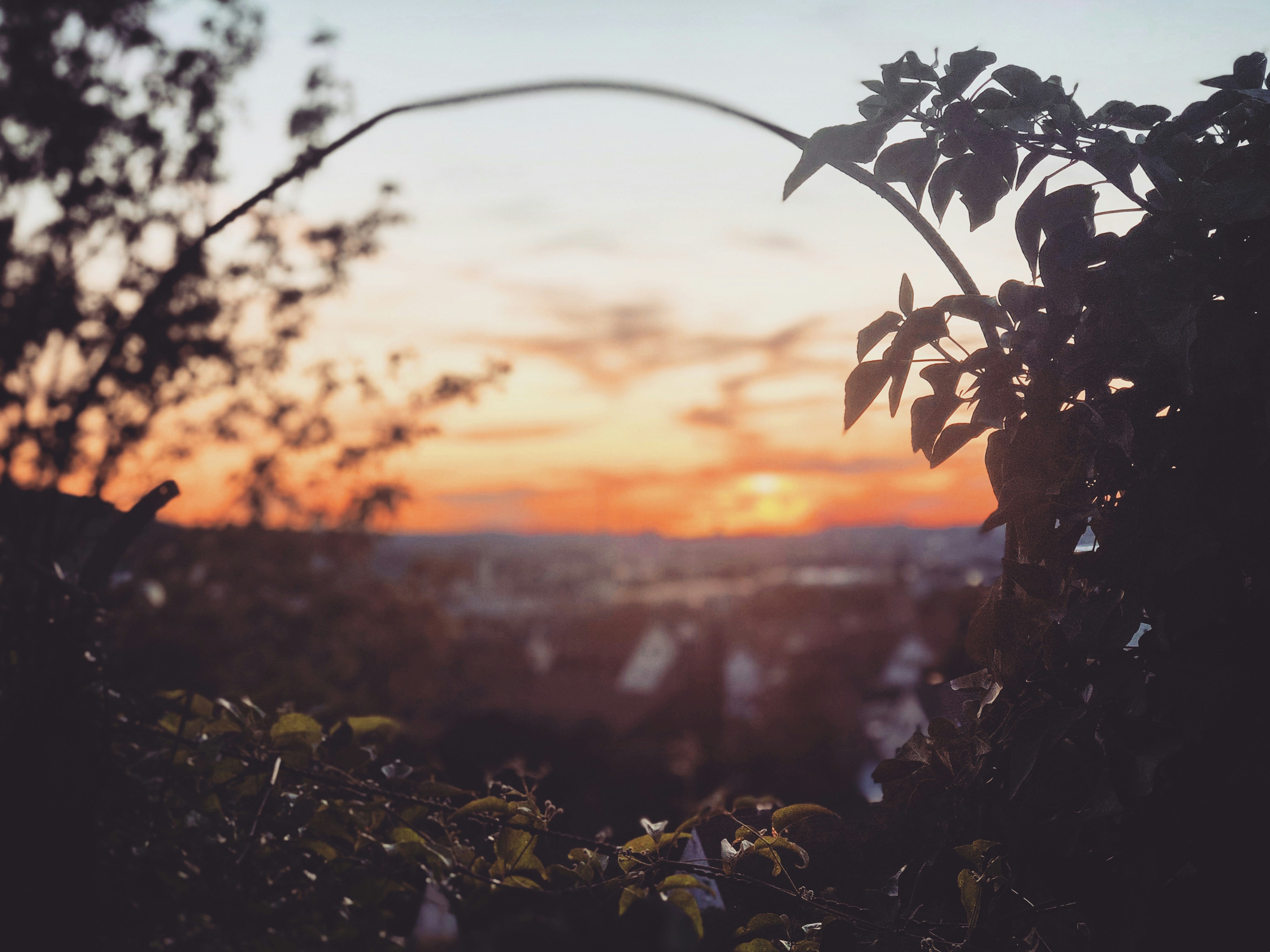 Photo by nagarjun648