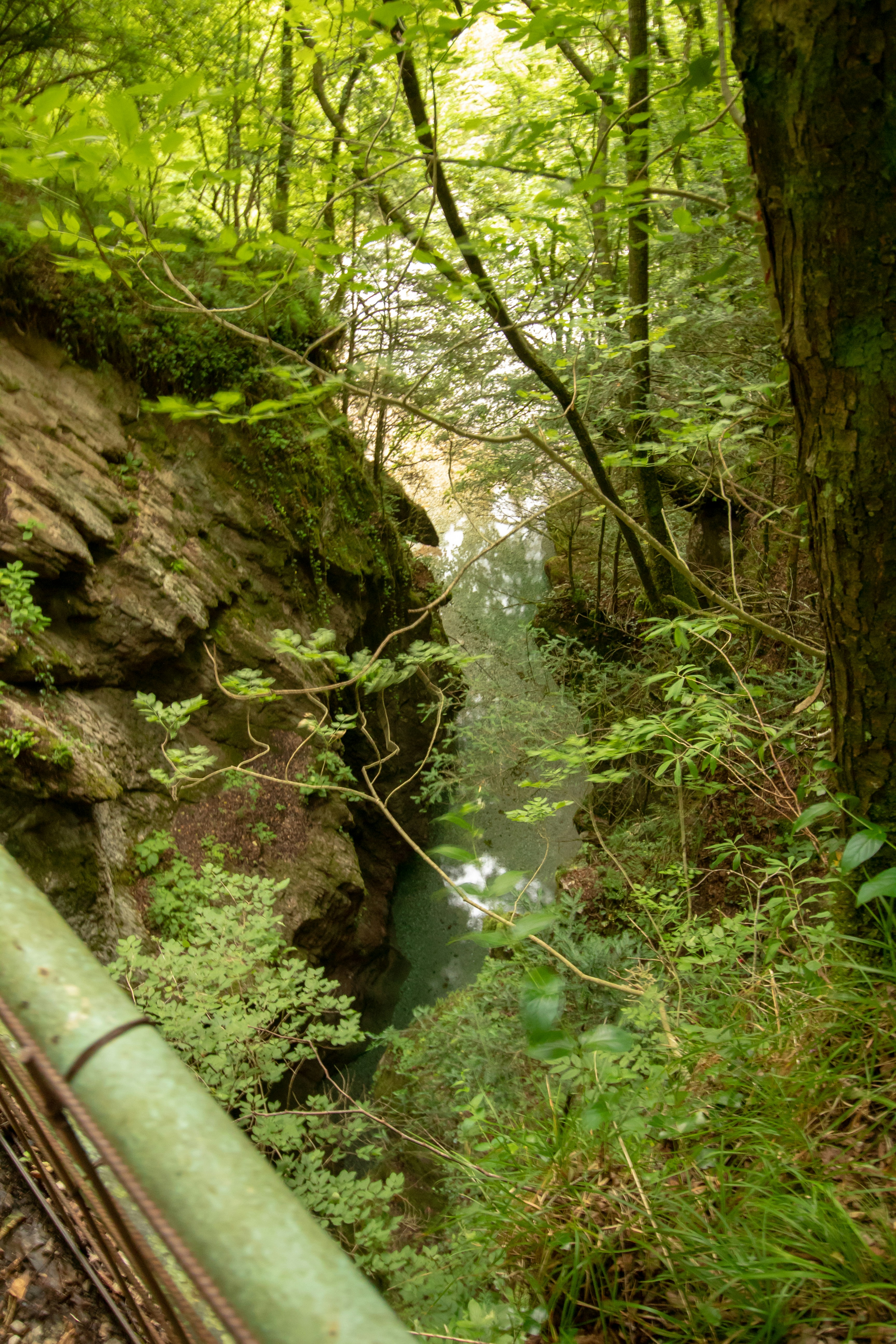 Canyon river with crystal clear water surrounded by lush green tropical forest, bright sunlit gorge