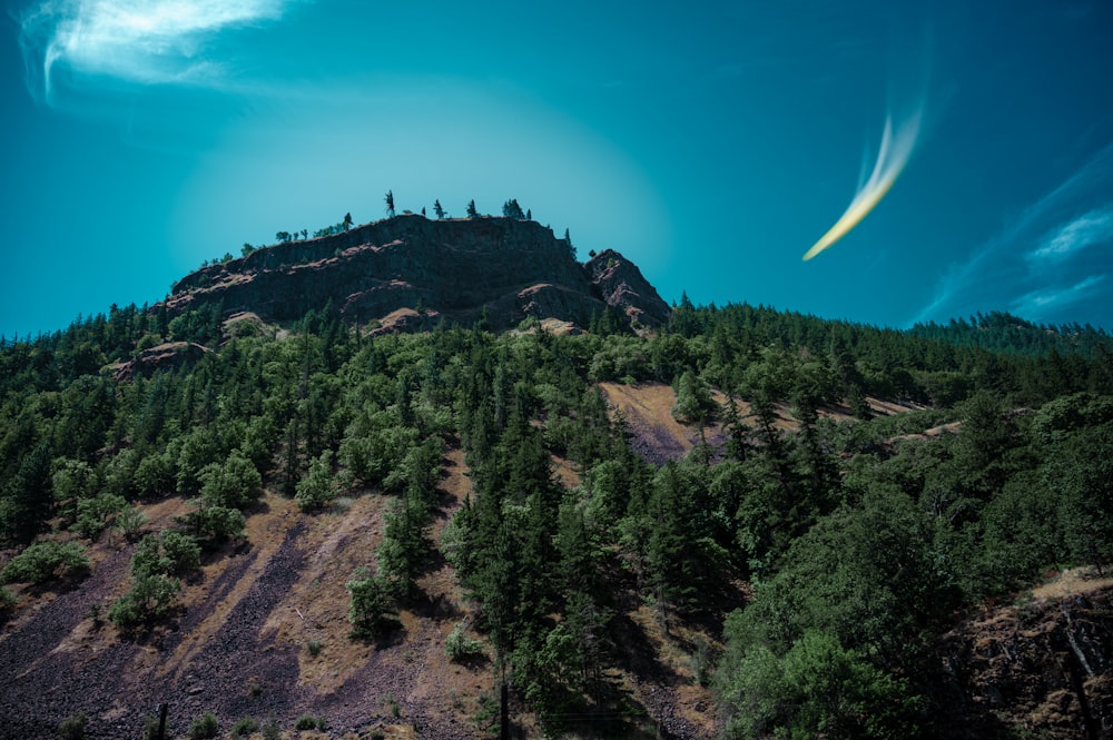 green trees on mountain under blue sky during daytime