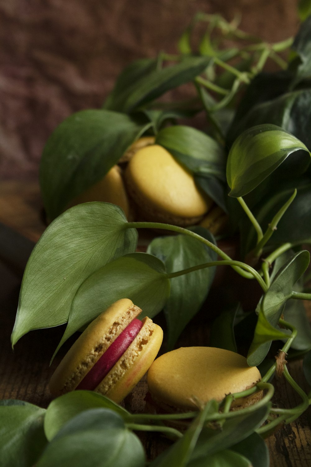 yellow round fruits on green leaves