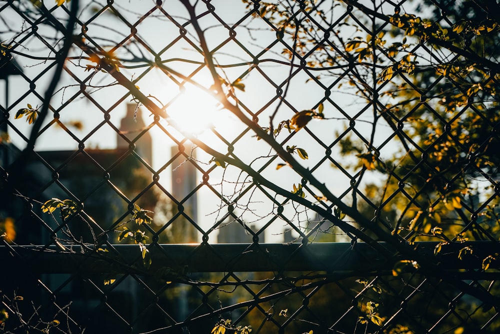 black metal fence near white concrete building during daytime