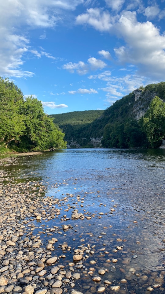 green trees beside river under blue sky during daytime in Le Port France