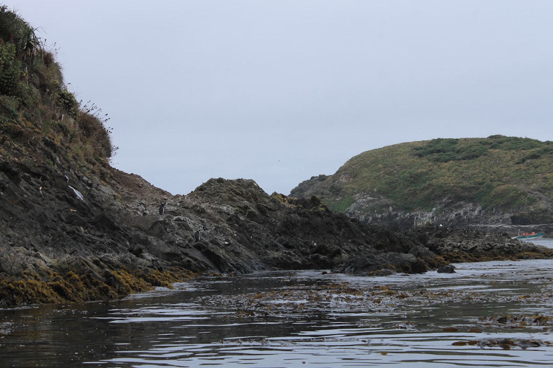 Shore photo spot ChiloÃ© Chile