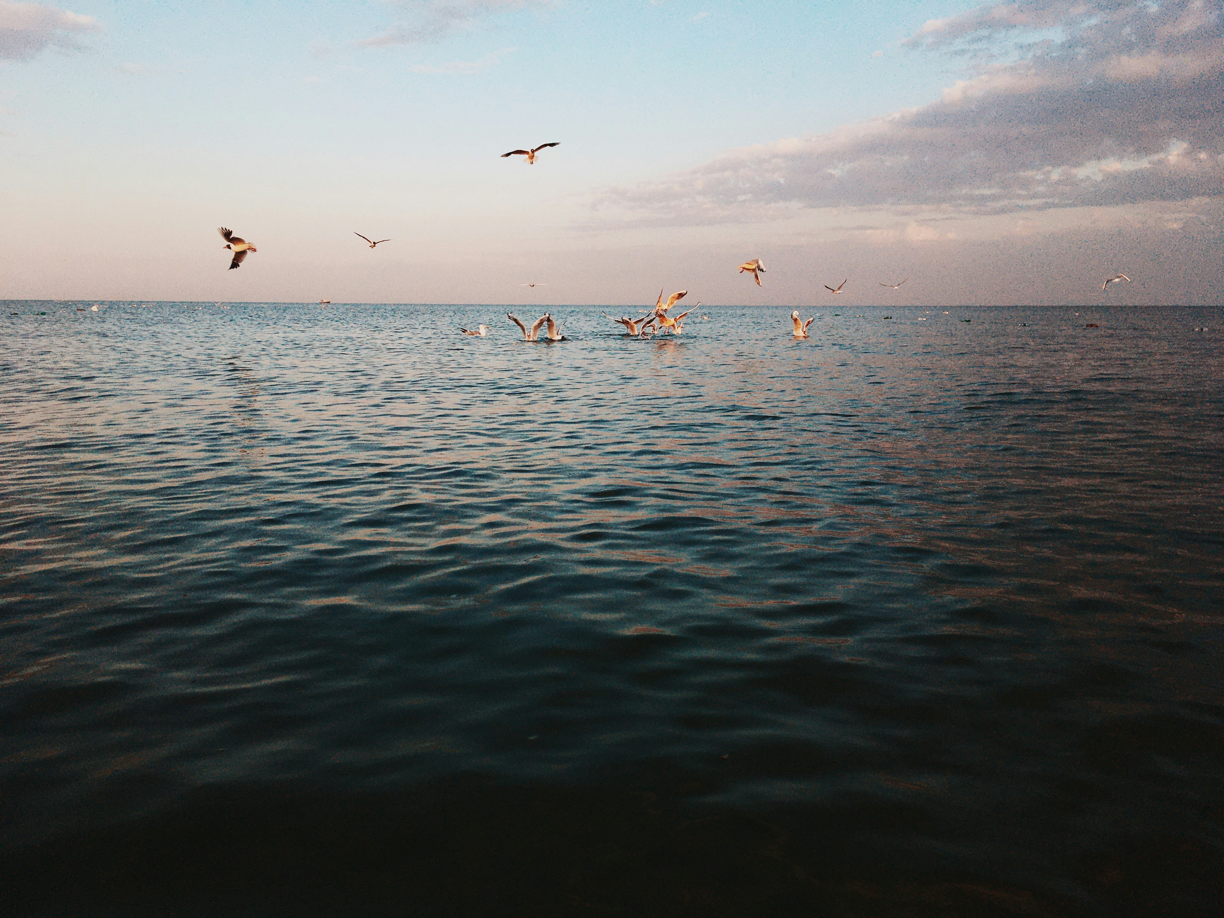 people in beach during daytime