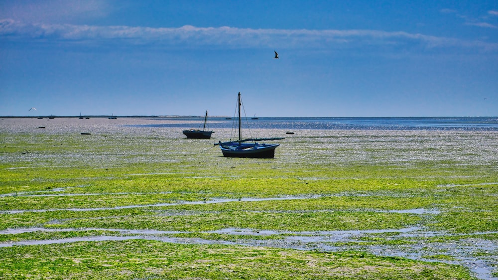 blue and white boat on sea under blue sky during daytime