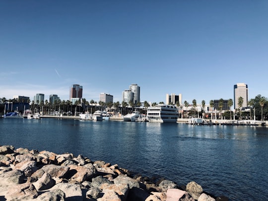 city skyline across body of water during daytime in ShoreLine Aquatic Park United States