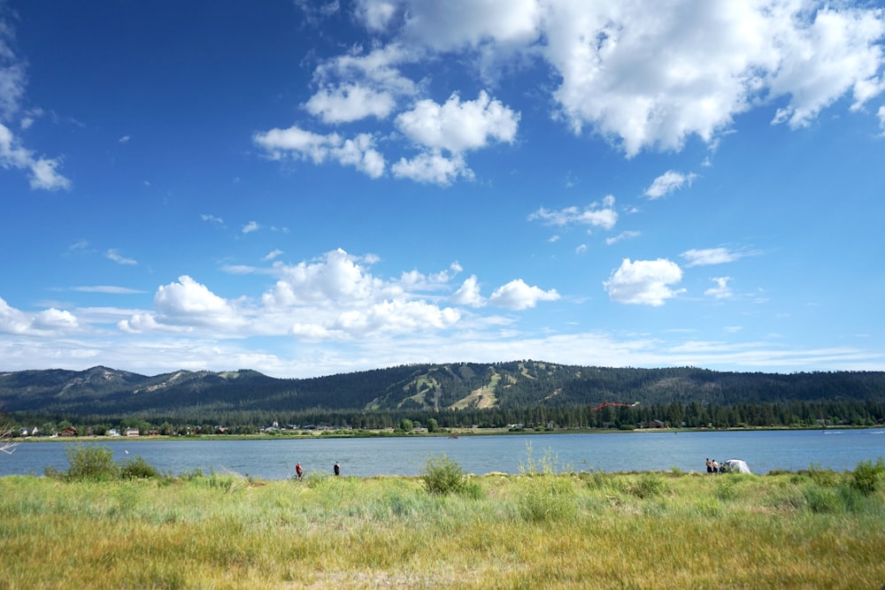 green grass field near body of water under blue sky during daytime