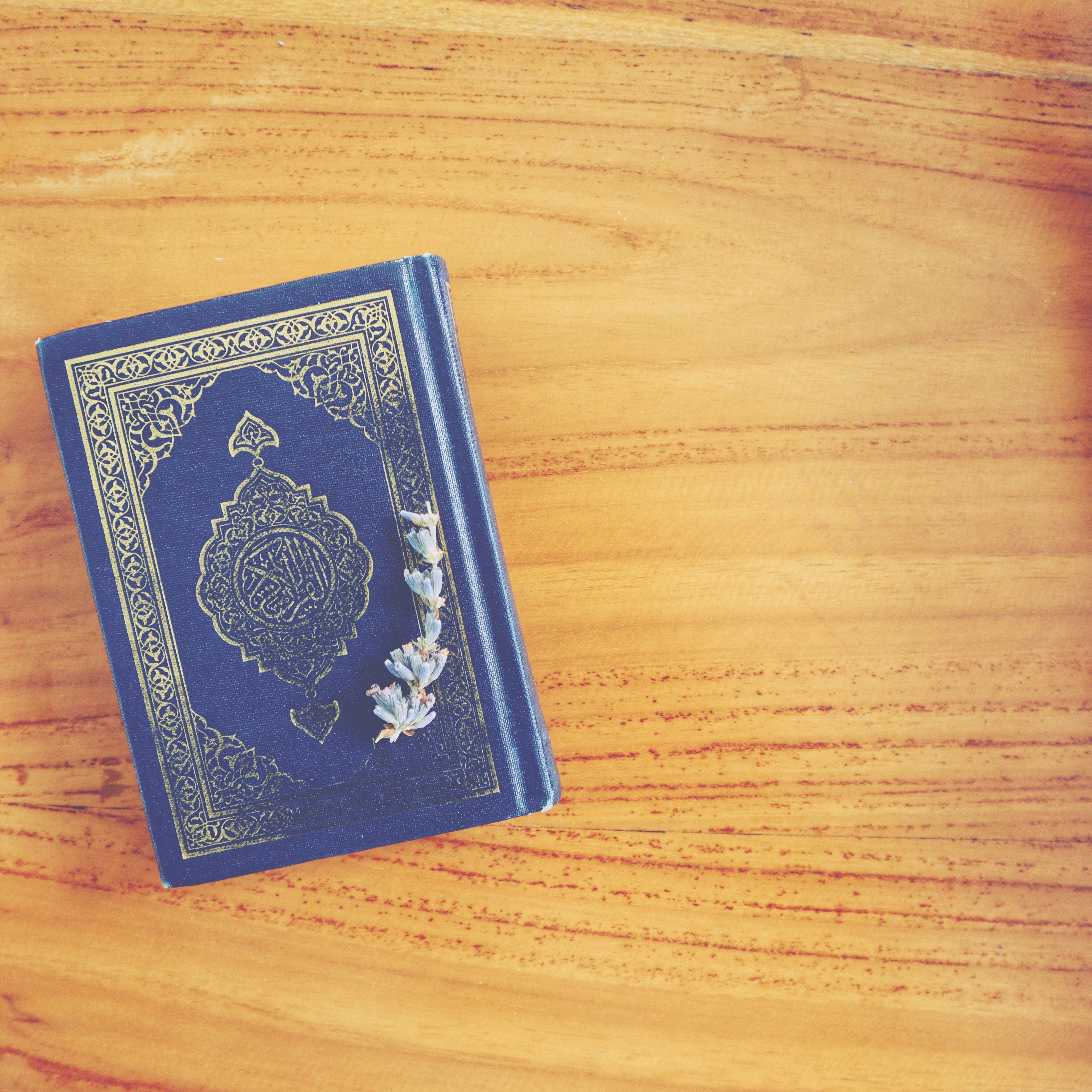 Enchanted Bookmark Set