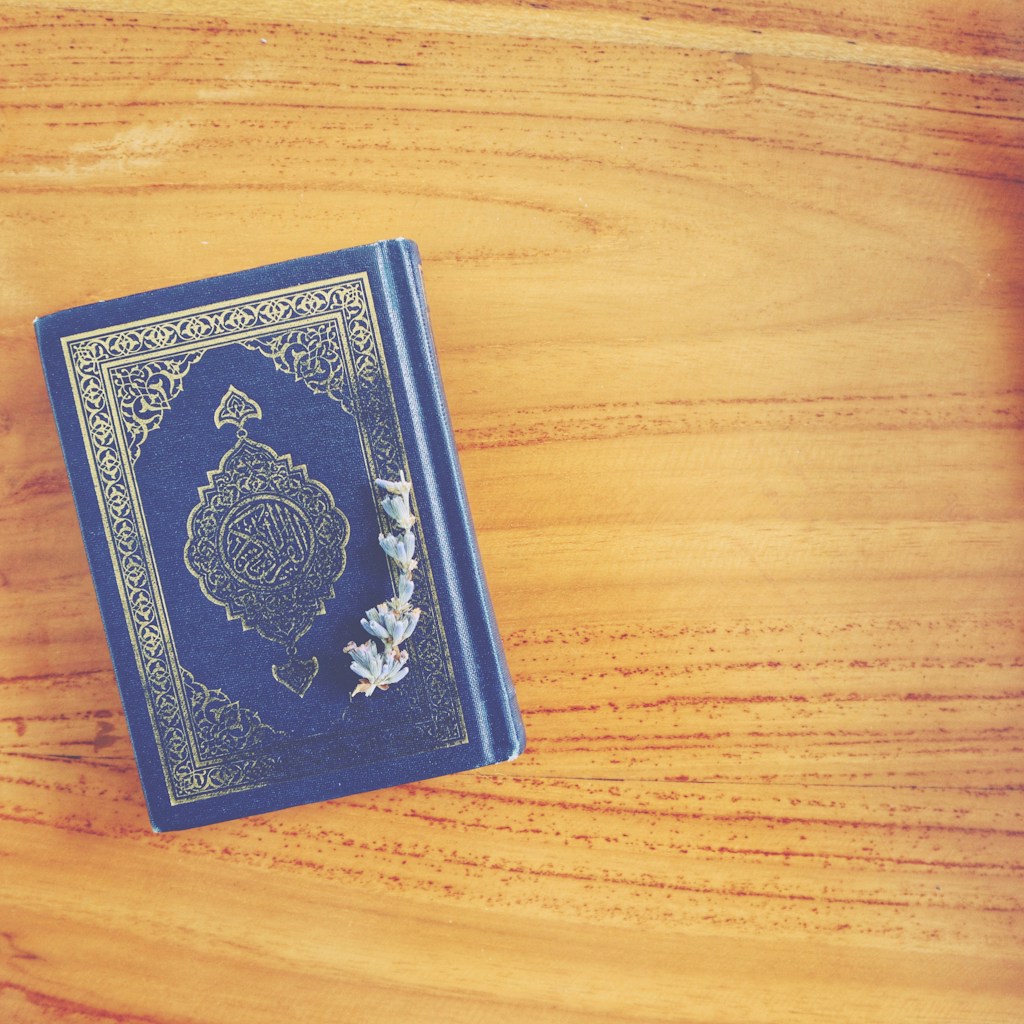 Le livre de tiko