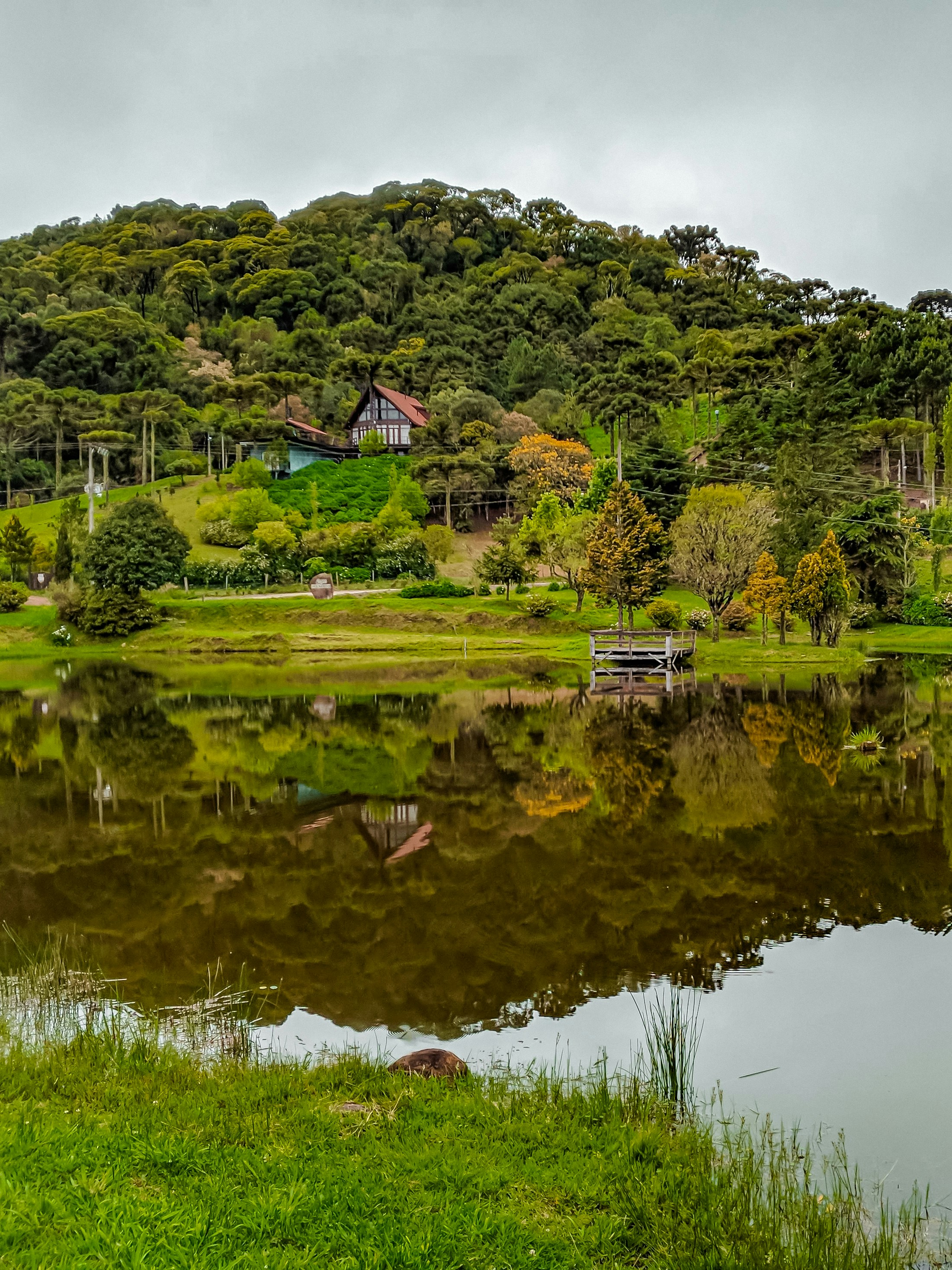 Photo by claitonconto