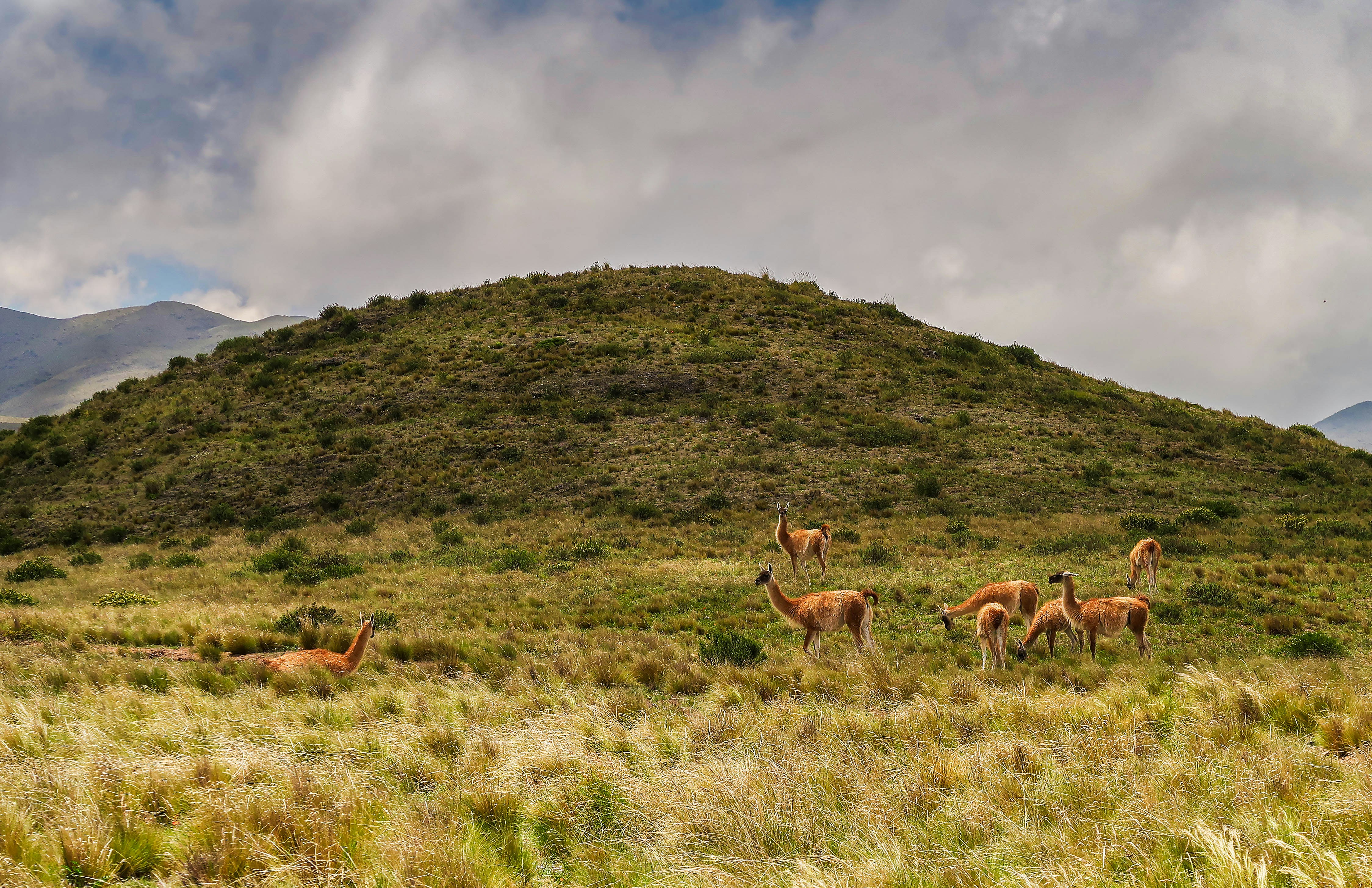 Photo by argentinanatural