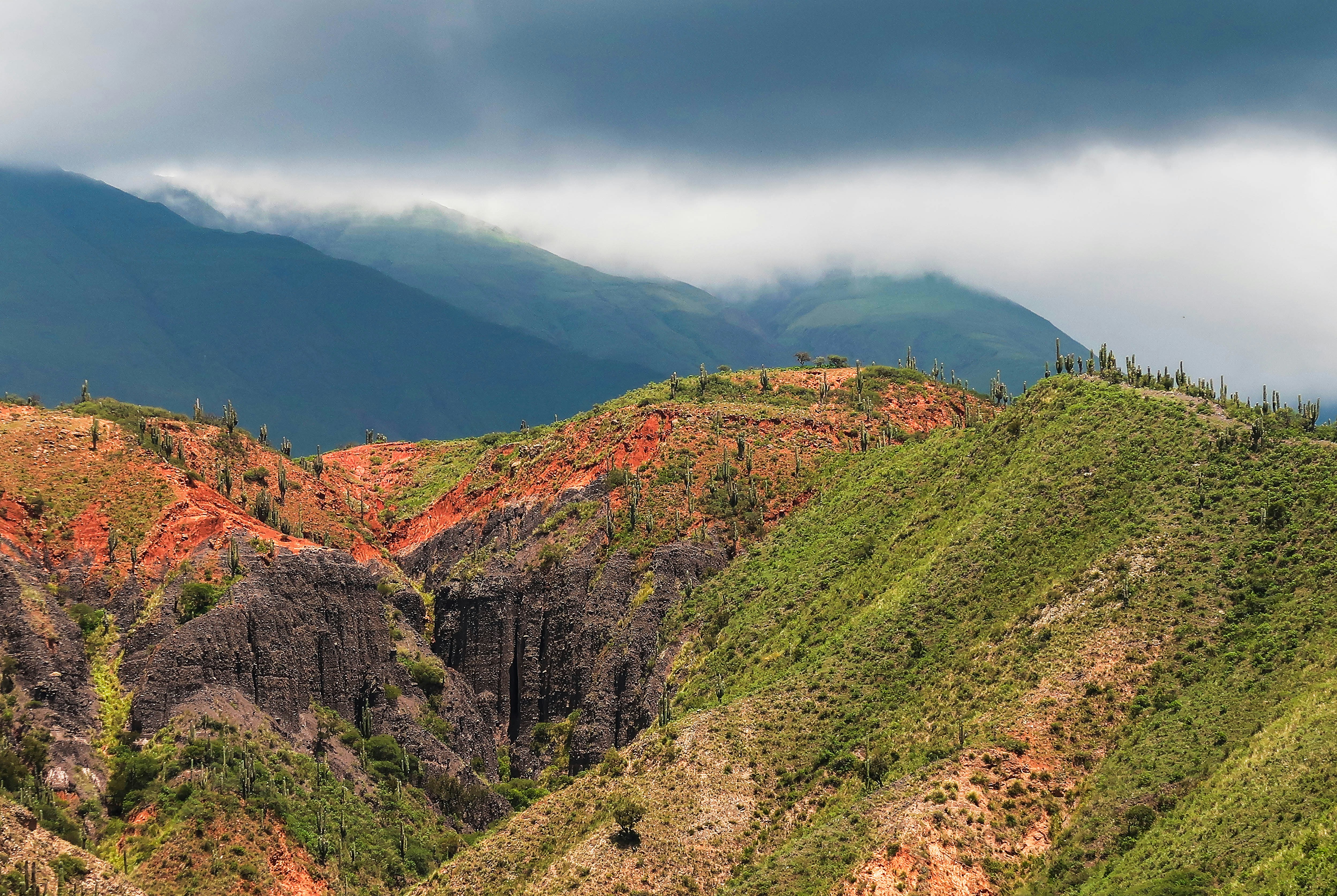 Photo by argentinanatural