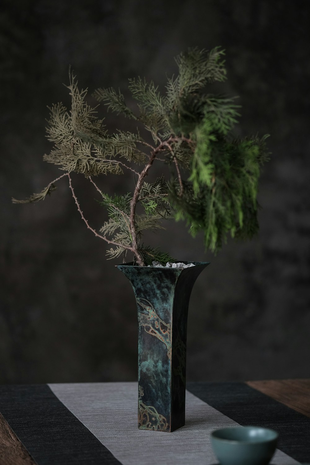 green and brown tree in black ceramic vase