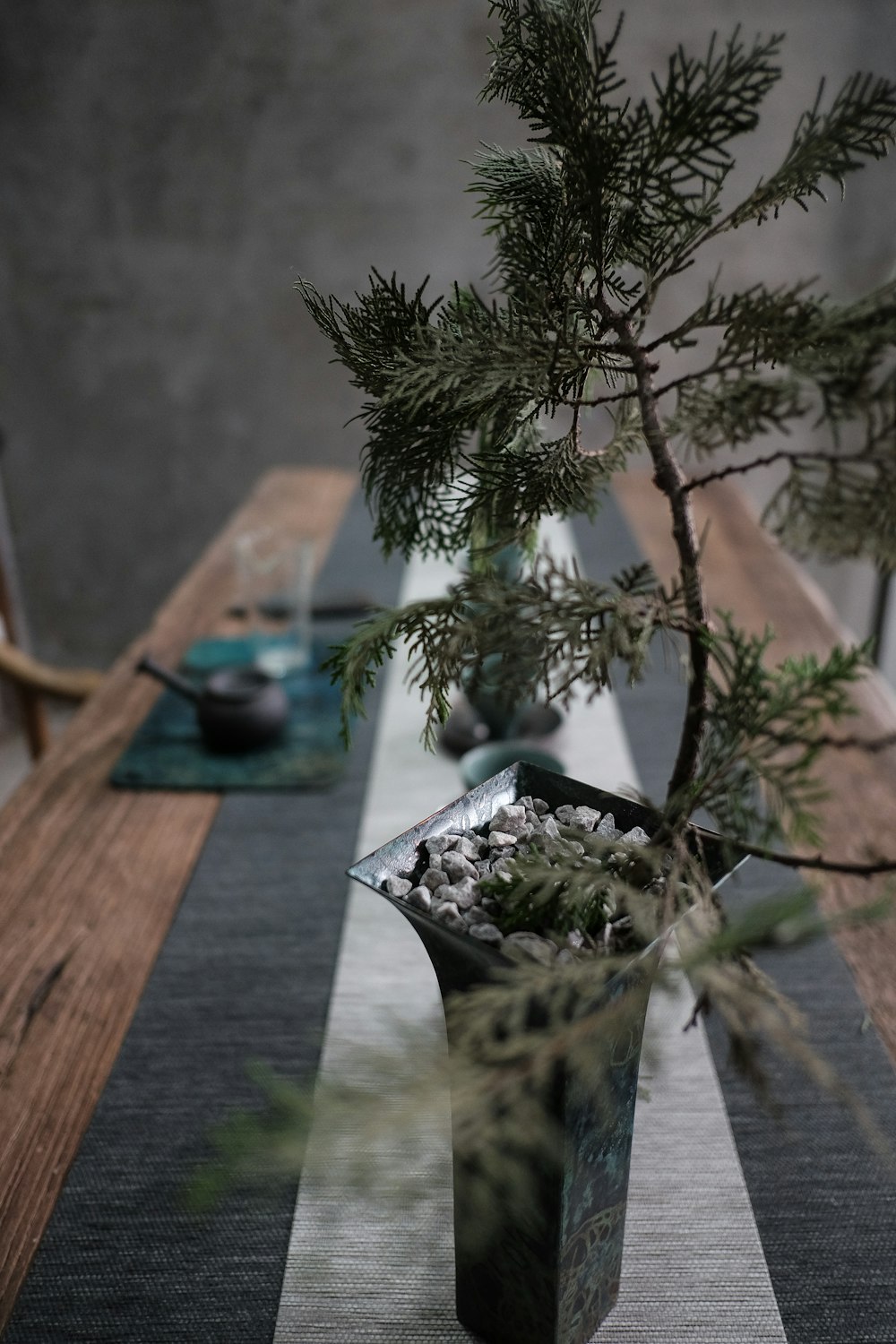 green plant on blue ceramic pot