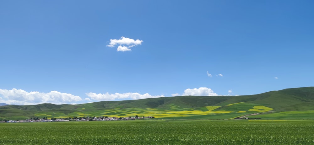 Grünes Grasfeld unter blauem Himmel tagsüber