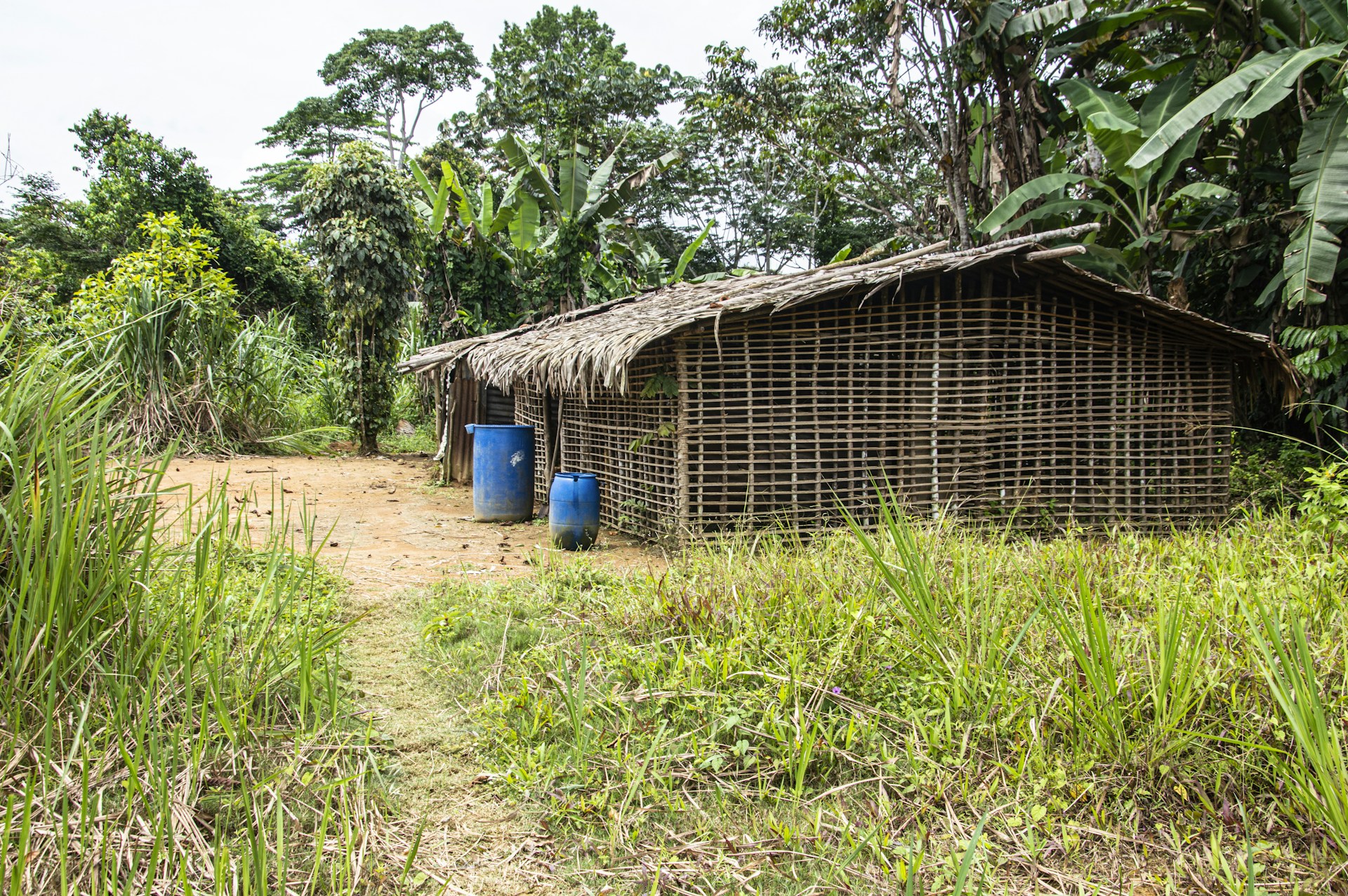 black and white bed linen