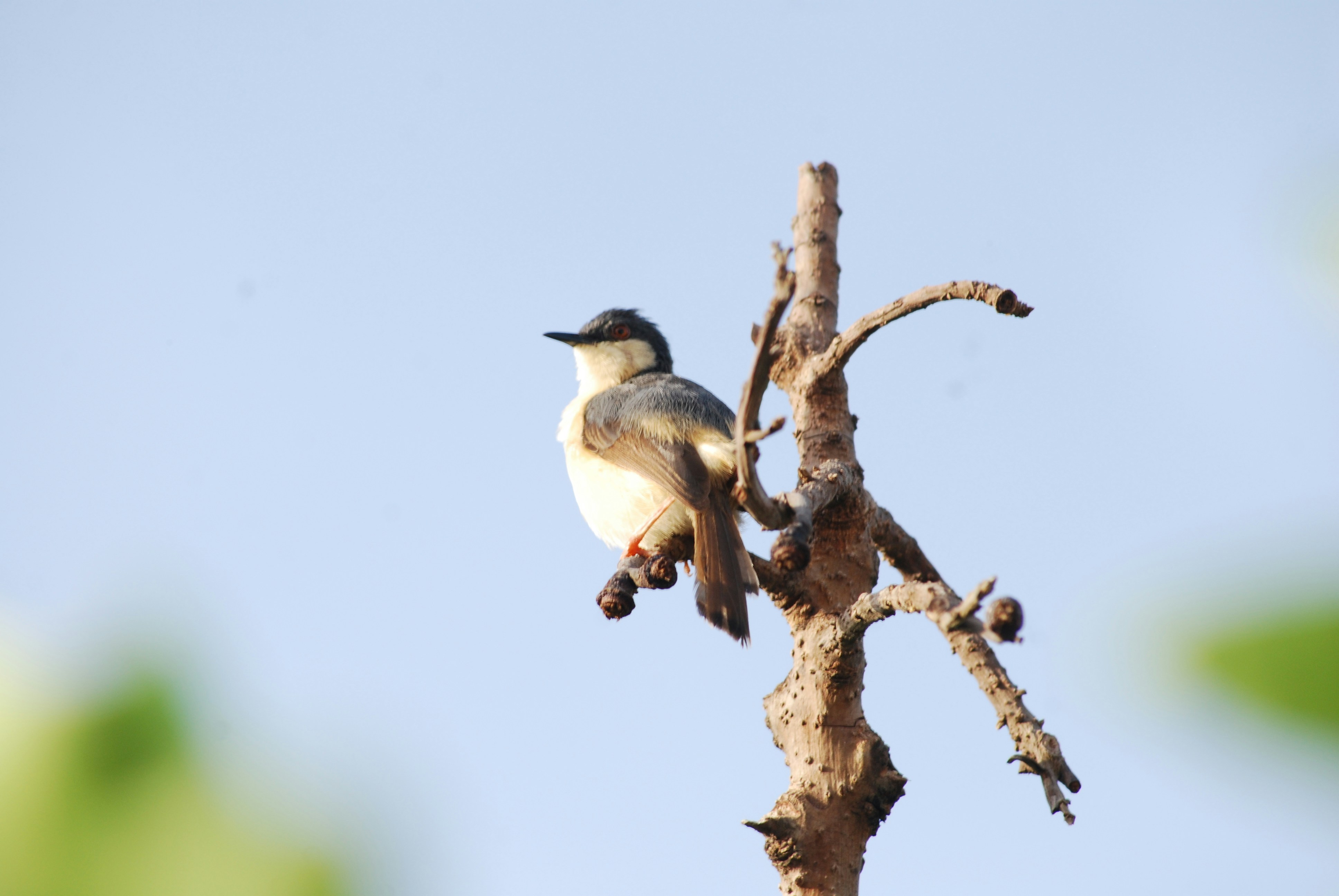 Photo by gnanaprakash