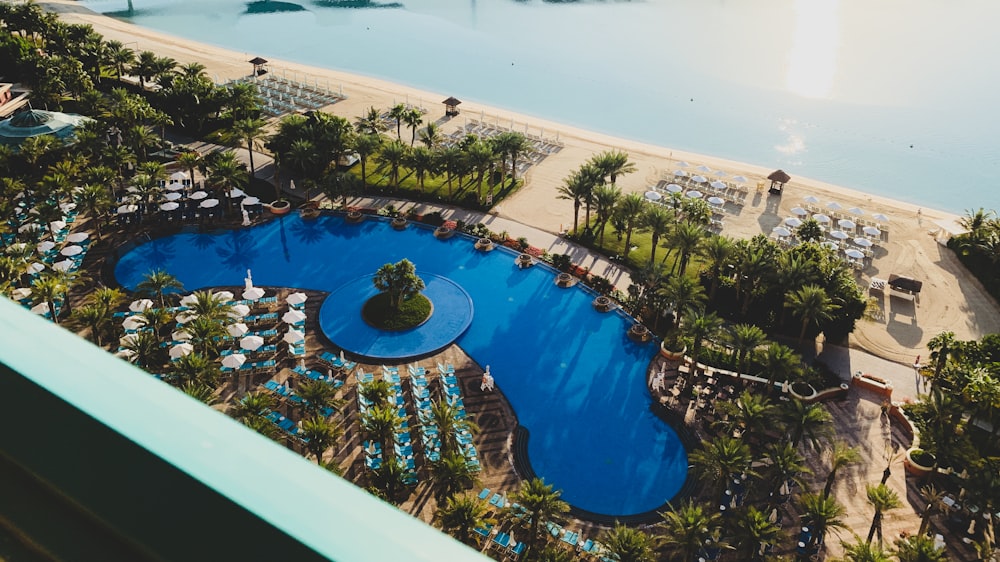 aerial view of swimming pool