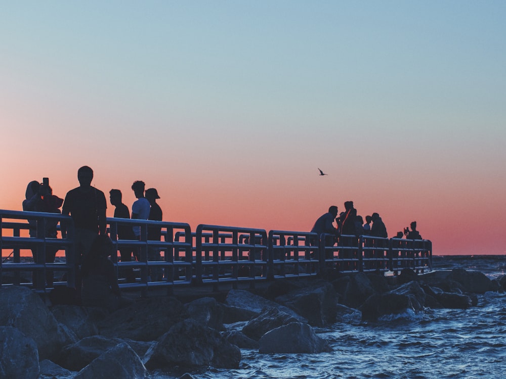 people standing on dock during sunset