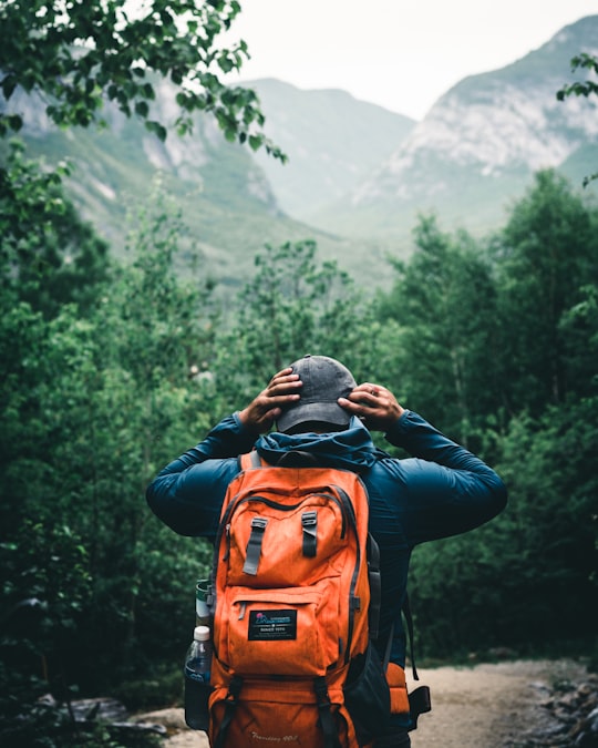 photo of Grands-Jardins National Park Backpacking near Le Massif de Charlevoix