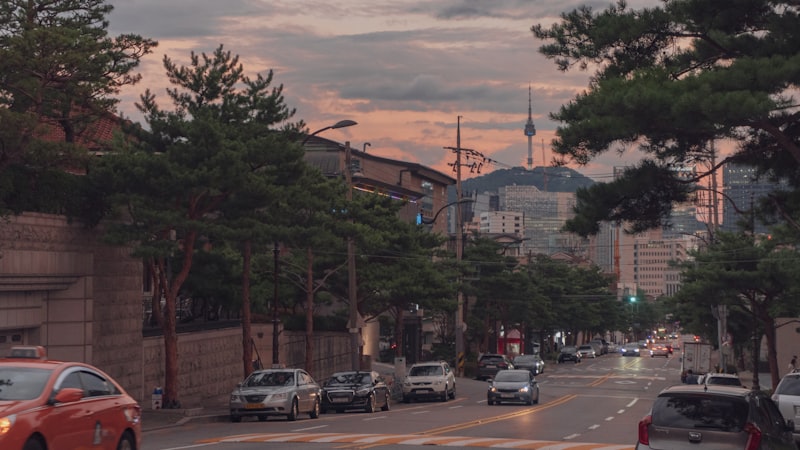 메세나폴리스