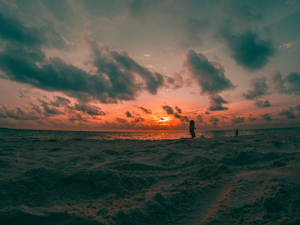 silhouette of 2 people walking on beach during sunset