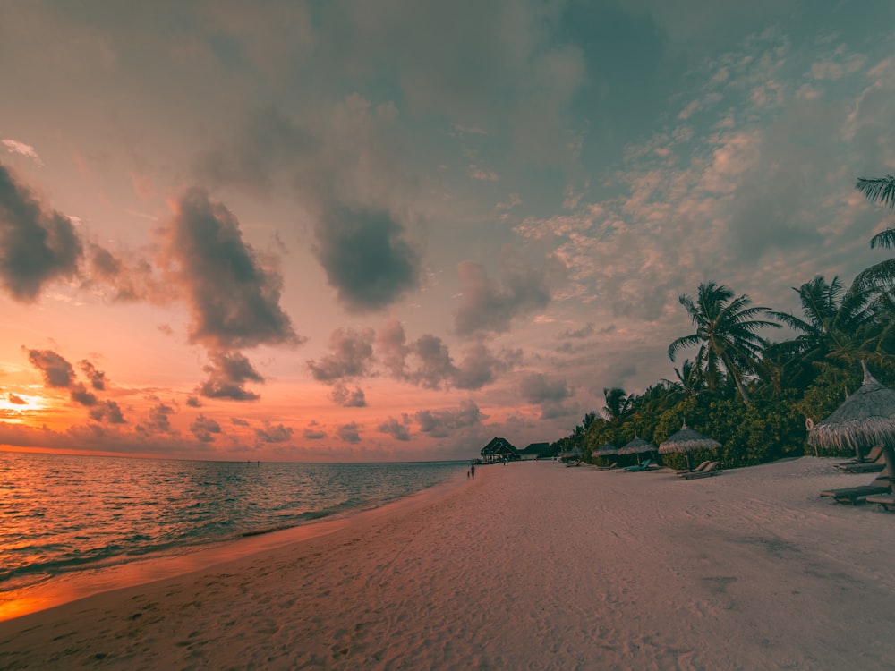 person standing on beach during sunset