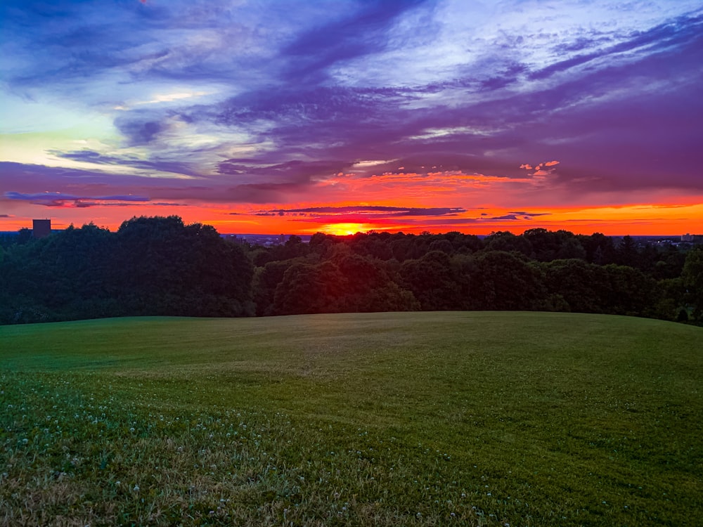 green grass field during sunset