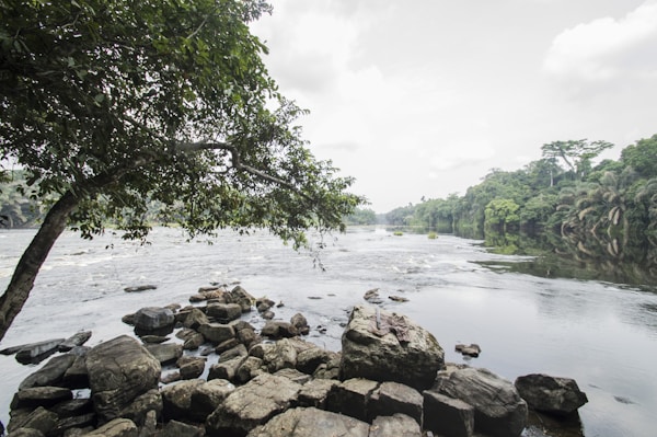 Exploring Gabon: A Travel Guide