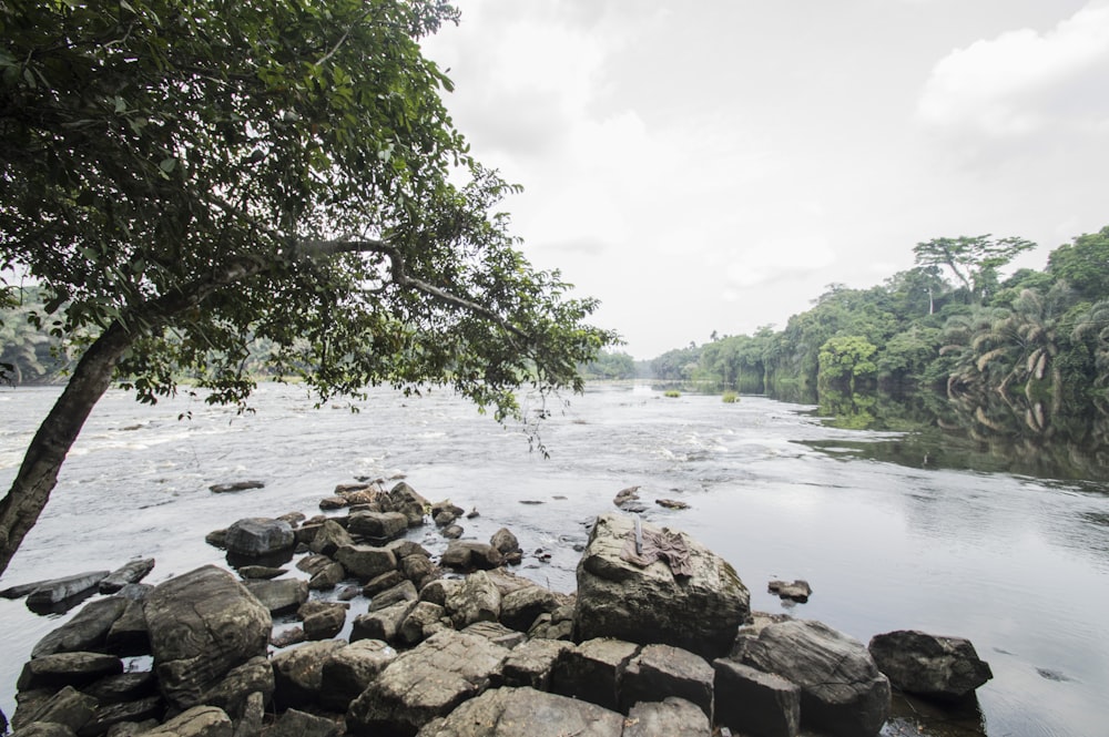 brown rocks near body of water during daytime