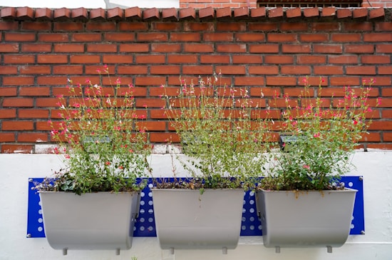 Three gray planters are mounted on a wall, each containing plants with small red flowers. The background consists of a red brick wall with a visible white section beneath the planters. The planters are attached to blue brackets with circular cut-outs.